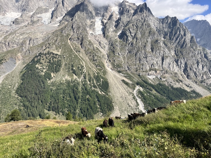 TMB Day 4 — from the 2026 hike