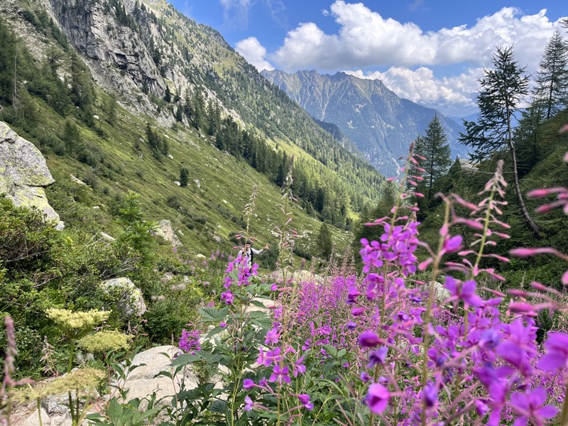 TMB Day 7 — from the 2026 hike